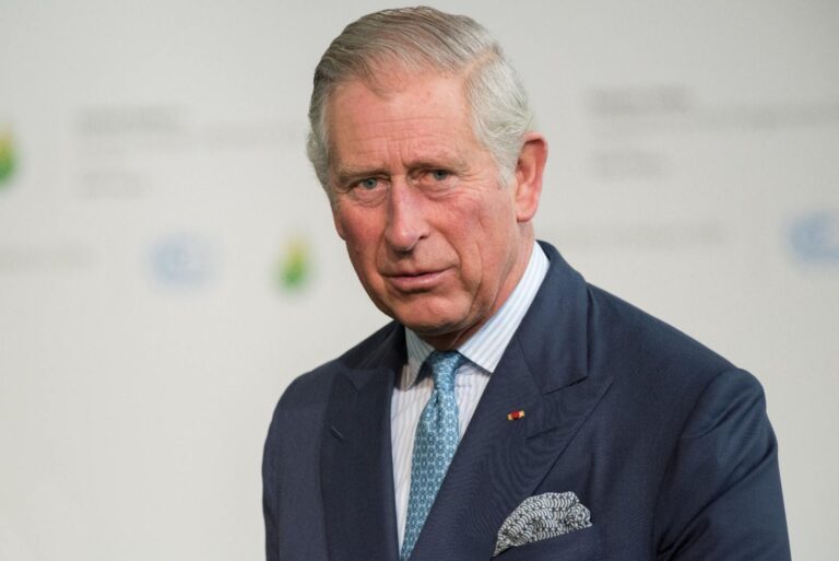King Charles, the subject of this report, shown in a newsroom illustration
